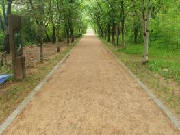 영종국제도시 유수지 공원 새 건강 명소 ‘맨발 걷기 산책로’ 조성 기사 이미지