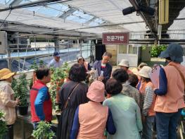 함평군, 국화분재 재배기술 대중화 확산 ‘선도’  기사 이미지