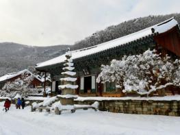 고창군, 사계절 휴양명소 선운산도립공원 만든다 기사 이미지