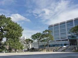 해남군, 고향사랑기부금으로 군민 행복에 날개를 달다 기사 이미지