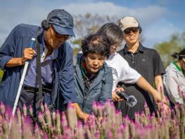 순천시 ‘소리’로 느끼는 순천, 시각장애인 대상 '사운드순천' 운영 기사 이미지