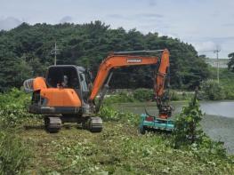 영광군 농업용 저수지 154개소 중 46개소 잡목제거 완료 기사 이미지