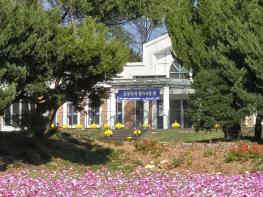 영광군, 가을 코스모스 정취 속 추억의 운동장 기사 이미지