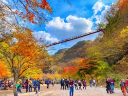 순창군 강천산군립공원, 가을 단풍철 16만 명 넘어서며 ‘대성황’ 기사 이미지