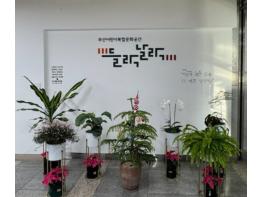 연제구, 반짝이는 트리로 연말 분위기 물씬 기사 이미지