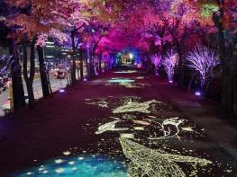 밤에도 걷고 싶은 안양천…구로구, 4가지 주제 '빛의 산책길' 조성 기사 이미지