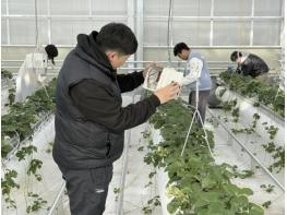 국립공주대학교 산업과학대학, 2024년 농업계학교 실습장 지원사업 완공 기사 이미지