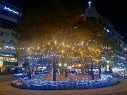 양주시, 고읍광장 연말연시 경관조명 설치  기사 이미지