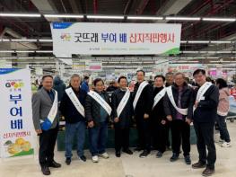 부여군 굿뜨래 배, 수도권 판로 확대 기사 이미지