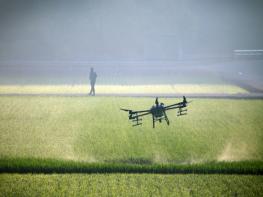사천시농업기술센터 황재수 팀장, 농촌진흥청 사진공모전 금상 수상 기사 이미지