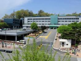 횡성군 2026년 노인일자리 및 사회활동지원사업 추진 기사 이미지