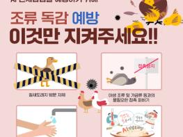 곡성군, 조류독감 확산 막기 위한 예방 조치에 총력 기사 이미지