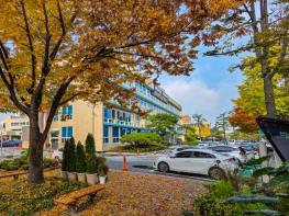 대전 중구, 2026년 장애인 개인예산제 시범사업 공모 선정 기사 이미지