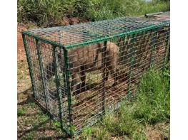 울산 남구, 2026년 유해야생동물 피해방지단 모집 기사 이미지