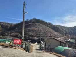 의성군, 산불피해목 벌채사업 접수 기사 이미지