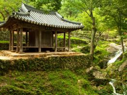 담양 담빛예술창고·시가문화권, 제2기 ‘로컬100’ 선정 기사 이미지