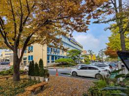 대전 중구, 설연휴 환경오염행위 특별감시 실시 기사 이미지