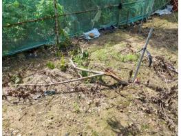 김해시, 야생동물 피해 보상  기사 이미지