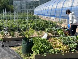 괴산군, 귀농·귀촌인 위한 '주말영농 체험농장' 이용자 모집 기사 이미지