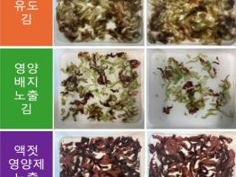 충남도 김 황백화, ‘액젓 찌꺼기 치료제’로 잡았다 기사 이미지