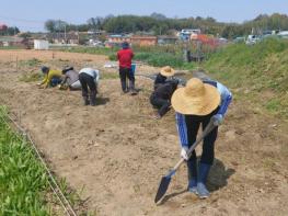 광주광역시 남구, 나만의 초록 일터 ‘도심 텃밭’ 인기 기사 이미지