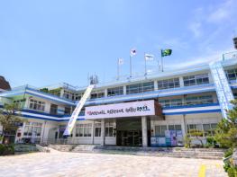 정선군, ‘청정 산림 지킨다’ 2026년 상반기 소나무재선충병 방제사업 본격 추진 기사 이미지