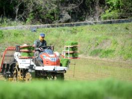 화천군, 고령자와 취약 농업인 대상 영농대행 지원사업 추진 기사 이미지