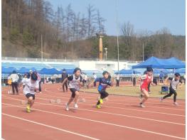 강원특별자치도홍천교육지원청 2026 강원소년체육대회 홍천군 육상 선발전 대회’실시 기사 이미지