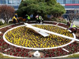 대전 동구, 도심 속 화사한 봄꽃 단장… ‘봄기운 가득한 꽃 경관’ 조성 기사 이미지