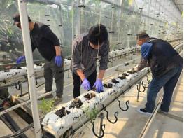 인제군, 신규·후계농업인 ‘현장형 기초영농 교육’ 운영 기사 이미지