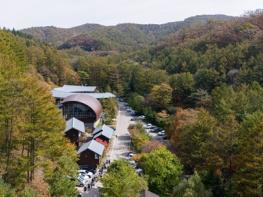 숲에서 찾은 나의 가능성... 국립횡성숲체원, 경계선지능인 산림교육 프로그램 운영 기사 이미지