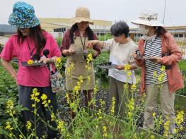 남동구, 초록빛 ‘도시농업’으로 숨 쉬다  기사 이미지