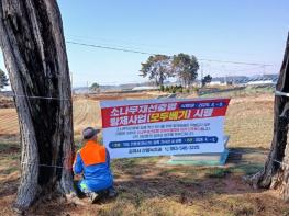 김제시, 소나무재선충병 확산‘비상’, 수종전환(모두베기) 방제 본격 추진 기사 이미지