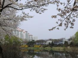 구리시, '벚꽃 아래 사회적경제 팝업스토어' 개최 기사 이미지