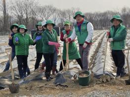 새마을운동 하남시지회, ‘이웃사랑 실천 휴경지 경작’ 사업 실시 기사 이미지