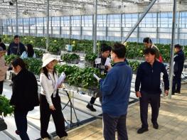 광주광역시, 토마토·딸기 스마트팜 실증 현장평가 기사 이미지