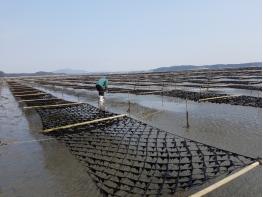 충남도, 탄소 잡는 ‘검은 반도체’ 저감량 밝힌다 기사 이미지
