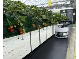 강남구, 로봇 테스트베드 참여기업 모집...로봇 친화도시 조성 박차 기사 이미지