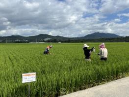 구미시, 명예식물감시원 18명 운영…병해충 대응체계 강화 기사 이미지