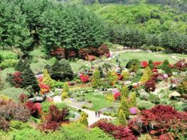 아침고요수목원, 가평 상면 주민에 '무료개방' 기사 이미지