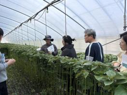 진안군, 수경재배 잎들깨 고품질 생산 현장컨설팅 추진 기사 이미지