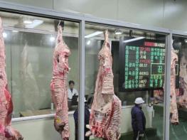 홍성한우, 홍콩 수출 본격화...글로벌 시장 공략 나서 기사 이미지