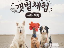 태안군, 반려동물 동반 '병술만 갯벌 체험 프로그램' 운영 기사 이미지