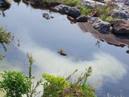 서귀포시, 농번기 대비 공공수역 수질오염 예방 특별 점검·홍보 실시 기사 이미지