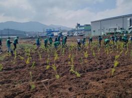 예산군 새마을회, 봄맞이 나무심기 활동 전개 기사 이미지