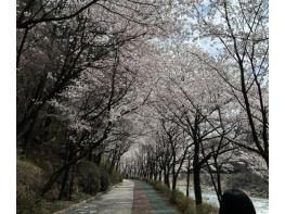 거창군, “일상 속 정신건강, 걸어서 마음속으로” 체험행사 운영 기사 이미지