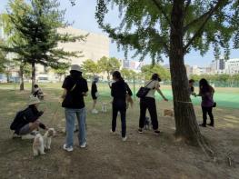 과천시, 취약가구 반려동물 의료·돌봄 지원…최대 32만 원 기사 이미지