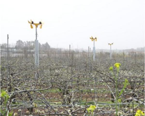 옥천군농업기술센터, 꽃가루은행 운영… 과수 저온피해 예방 총력 기사 이미지