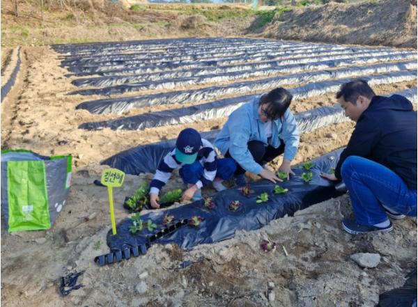 증평 삼보산골마을,“흙 만지고 수확의 기쁨까지”...체험형 주말농장 분양 기사 이미지