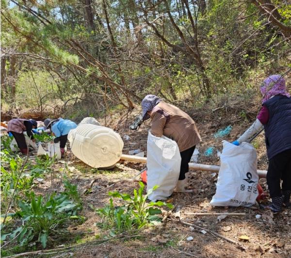 옹진군, 2026년 재정지원 일자리사업 정상 추진 기사 이미지
